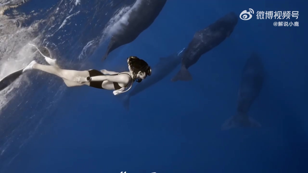 谈球吧体育app下载KPL女解说小鹿分享比基尼潜水视频：遇到抹香鲸🐋震撼无法形容